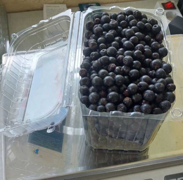 Sveža Aronija 1KG - Image 13